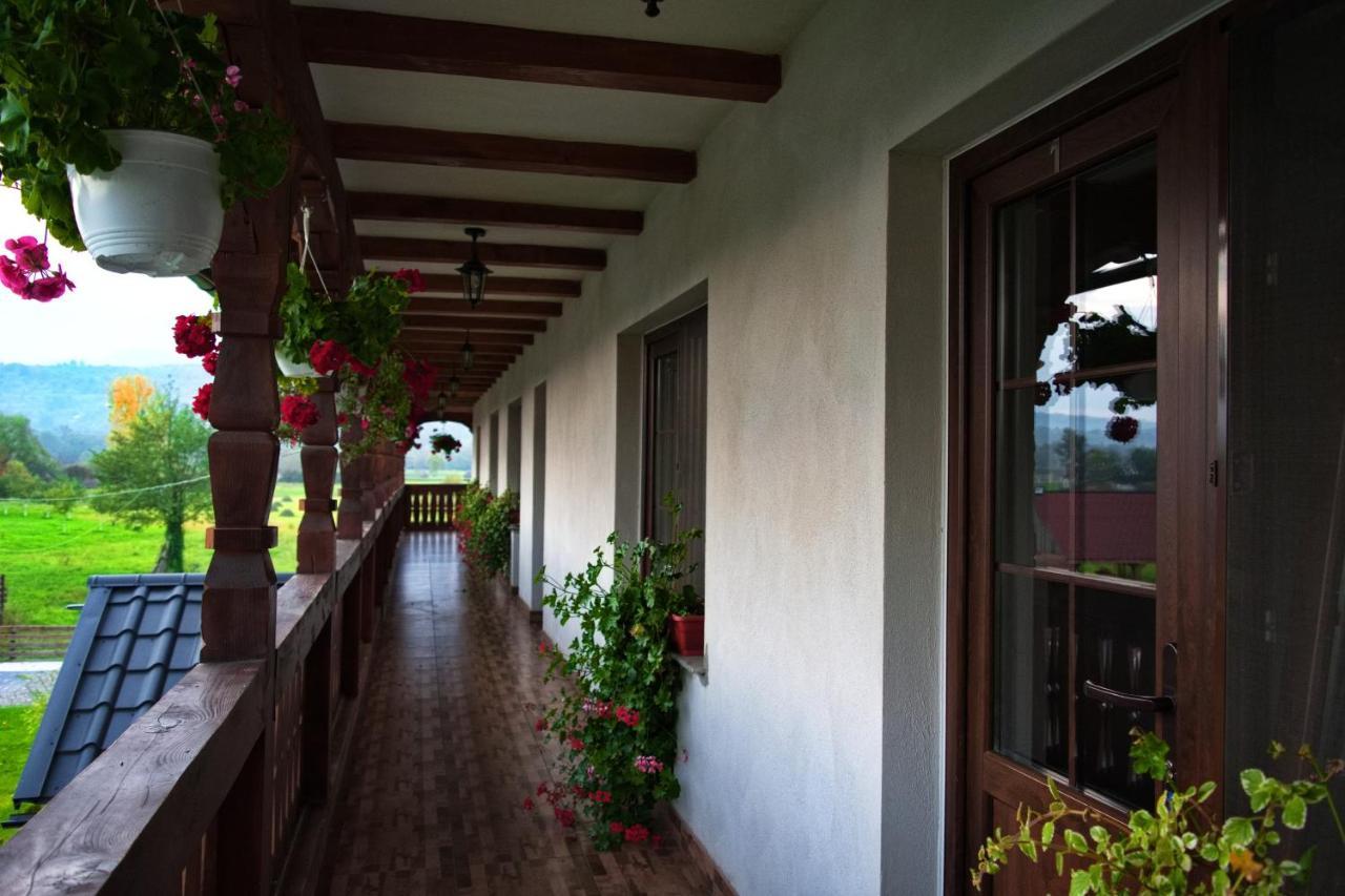 Conacul Cosaului Hotel Feresti Exterior foto